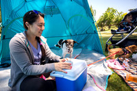 July 3rd Picnic